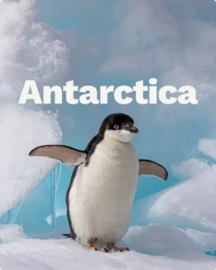 antarctica
