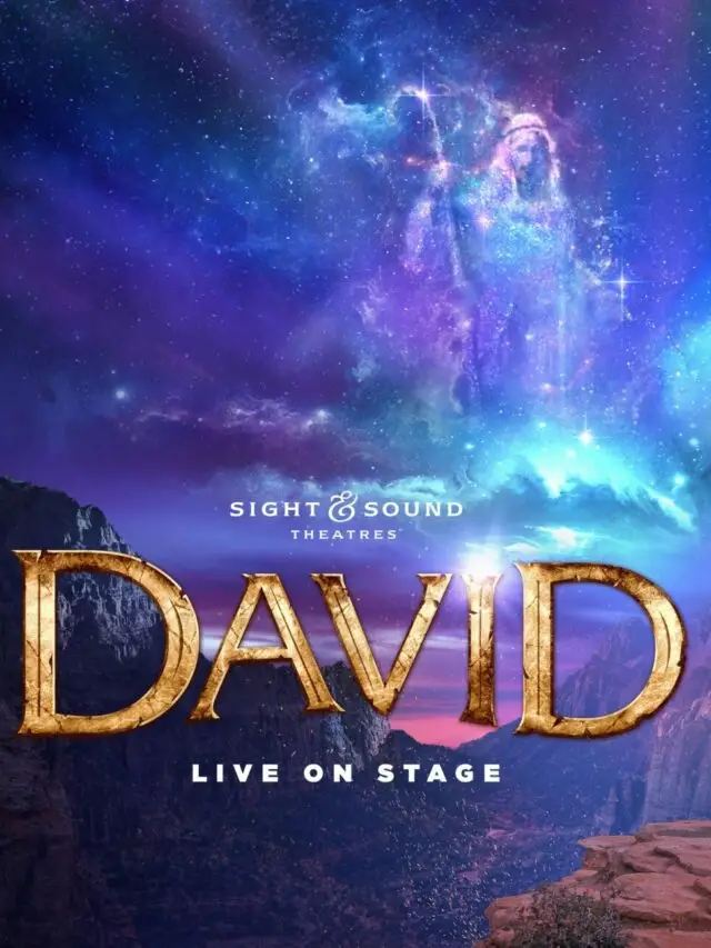 cropped DavidKeyArt 11x17 HORIZ scaled 1